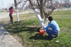 В Тбилисском районе очистили от мусора более 200 тыс. кв. м. территории