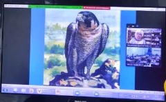 Работа детской библиотеки в онлайн-формате