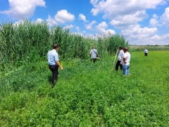 На территории Нововладимировского сельского поселения начались еженедельные мероприятия по выявлению произрастания наркосодержащей растительности и принятии мер по уничтожению ее очагов