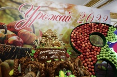 Вениамин Кондратьев: Урожай 2022 года на Кубани превысил 15 миллионов тонн зерновых