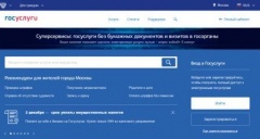 Пройти электронную перепись населения в 2020 году можно будет на портале «Госуслуги»