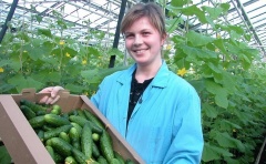 Краевые и местные власти в индивидуальном порядке помогают фермерам наладить сбыт продукции