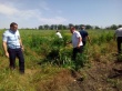В Нововладимировском сельском поселении прошло рейдовое мероприятие по выявлению и уничтожению дикорастущей конопли