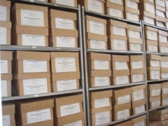 Юбилей архивной службы Кубани