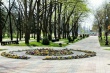 В Краснодарском крае стартовало голосование по выбору зеленых зон для благоустройства