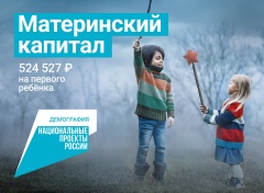 Реализация национального проекта "Демография" 