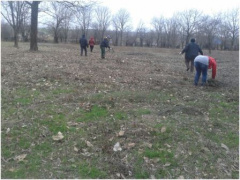 В парке станицы Ловлинской навели порядок