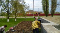 В Нововладимирской у мемориала высадили цветы