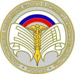 Весной 2021 года Росстат проведет экономическую перепись малого бизнеса