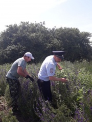 Рейдовое мероприятие в Ловлинском поселении