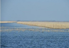 С 2018 года в России изменены правила любительской рыбалки