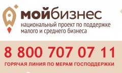 «Горячая линия» по информированию субъектов малого и среднего предпринимательства о мерах поддержки