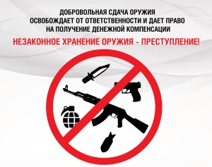 Предусмотрена уголовная ответственность за незаконное хранение оружия