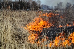 Напоминаем о необходимости соблюдения пожарной безопасности