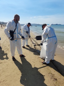 Команда района продолжает уборку мазута на побережье Анапы