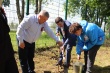 Члены ТИК Тбилисская приняла участие в высадке деревьев 