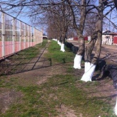 В поселке Октябрьском провели большой субботник