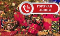 Горячая линия по вопросам качества и безопасности детских товаров, выборе новогодних подарков!