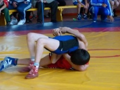 Две бронзовые  медали завоевали спортсмены из Тбилисского района в соревнованиях по вольной борьбе