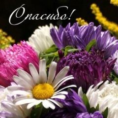 Семья Юшковых из Украины благодарит тбилисцев за помощь 