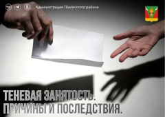 Неформальная (теневая) занятость. Причины. Последствия