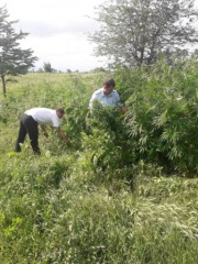 УВАЖАЕМЫЕ ЖИТЕЛИ И ГОСТИ ТБИЛИССКОГО РАЙОНА!