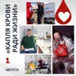 В Тбилисской пройдет донорская акция «Капля крови ради жизни»
