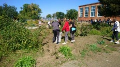 Тбилисские школьники проводят субботники