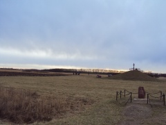 Глава Ванновского сельского поселения Евгений Ильин прокомментировал работы на территории, прилегающей к месту битвы сотни Андрея Гречишкина