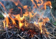 Экстренное предупреждение! Пожароопасность!