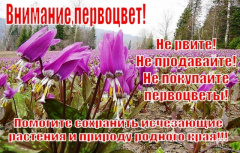 Уважаемые жители Тбилисского района!