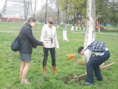 Тбилисские школьники приняли участие в краевой экологической акции «Парки Кубани»