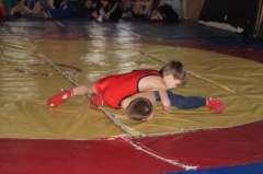 20 тбилисцев приняли участие в турнире по вольной борьбе