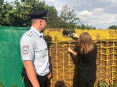 Тбилисская молодежь уничтожила несколько пронаркотических надписей