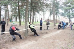 II этап Спартакиады трудящихся прошел в Тбилисском районе