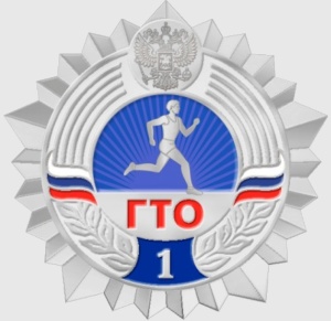 Краевой зимний фестиваль Всероссийского физкультурно-спортивного комплекса «Готов к труду и обороне» проходит в Тбилисском районе