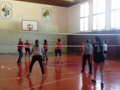 В рамках спартакиады трудящихся прошли соревнования по волейболу