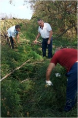 В Нововладимировском поселении уничтожили наркосодержащие растения