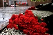 В Краснодарском крае стартует всероссийская благотворительная акция «Красная Гвоздика»