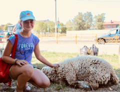 Сельскохозяйственная лотерея прошла в День урожая