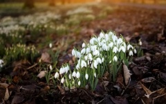 Уважаемые жители района!