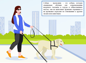 Доступ на объекты собаки-проводника