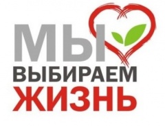 В Тбилисском районе уничтожено свыше пятнадцати тысяч кустов наркосодержащей растительности