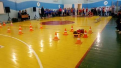 В шестой школе отметили Всероссийский день самбо