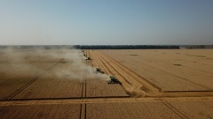 Аграрии получат новые субсидии