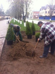 В Тбилисской на улице Первомайской появилась новая клумба