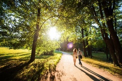 На Кубани сохраняется запрет на проведение массовых мероприятий