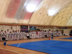 Тбилисские спортсмены привезли бронзовые медали из Армавира