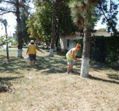 В Тбилисской навели порядок