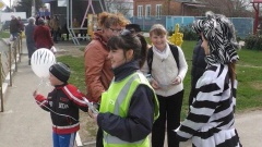 О правах пешеходов на дороге тбилисцам напомнила Зебра